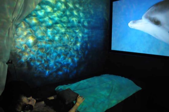 Being landlocked by the desert doesn't stop spa-goers at La Quinta Healing Arts Spa in California from enjoying the motion of the ocean. The Palm Springs-area holistic healing center offers Virtual Dolphin Therapy. 